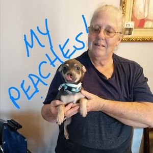 Meet your Posher, Joyce